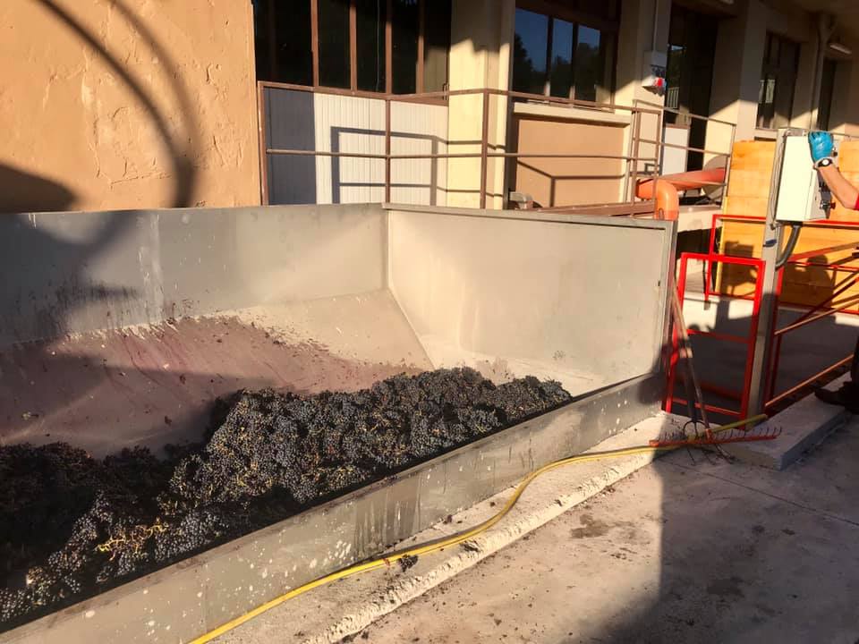 Oltrepò Operazione Dioniso ancora vino contraffatto per quantità qualità e origine 1