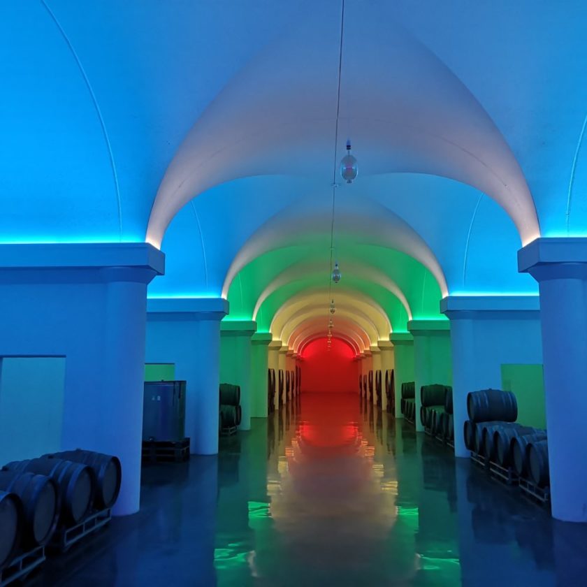 Giampaolo Tabarrini il vignaiolo alieno. Nuova cantina spaziale a Montefalco 8