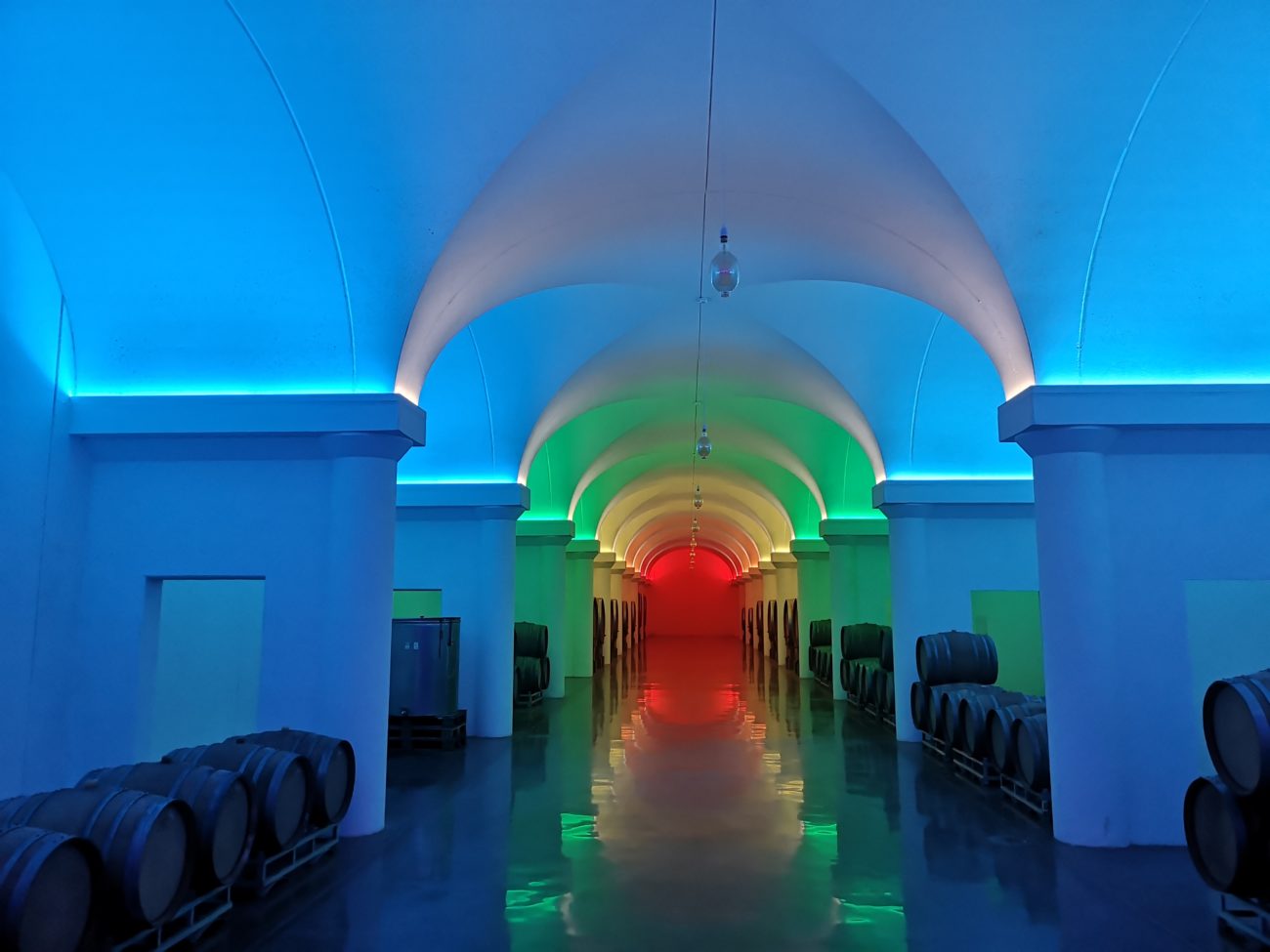Giampaolo Tabarrini il vignaiolo alieno. Nuova cantina spaziale a Montefalco 8