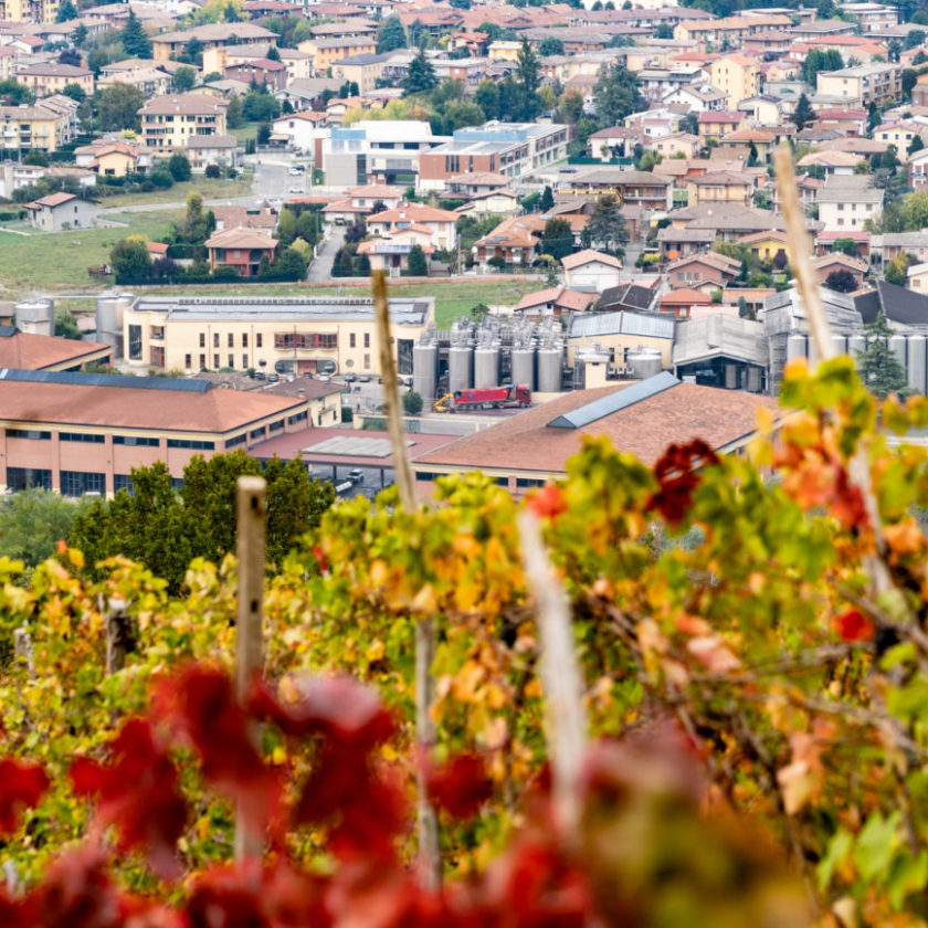 La Versa Terre dOltrepò i dettagli della fusione andrea giorgi 2