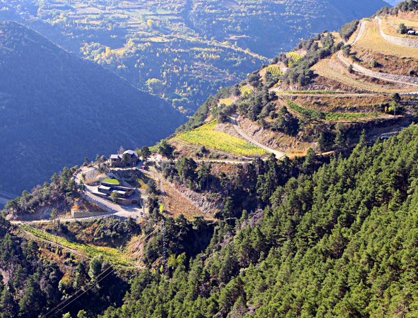 Vini di Andorra verso la Denominazione dOrigine protetta con la spinta del Cervim 1