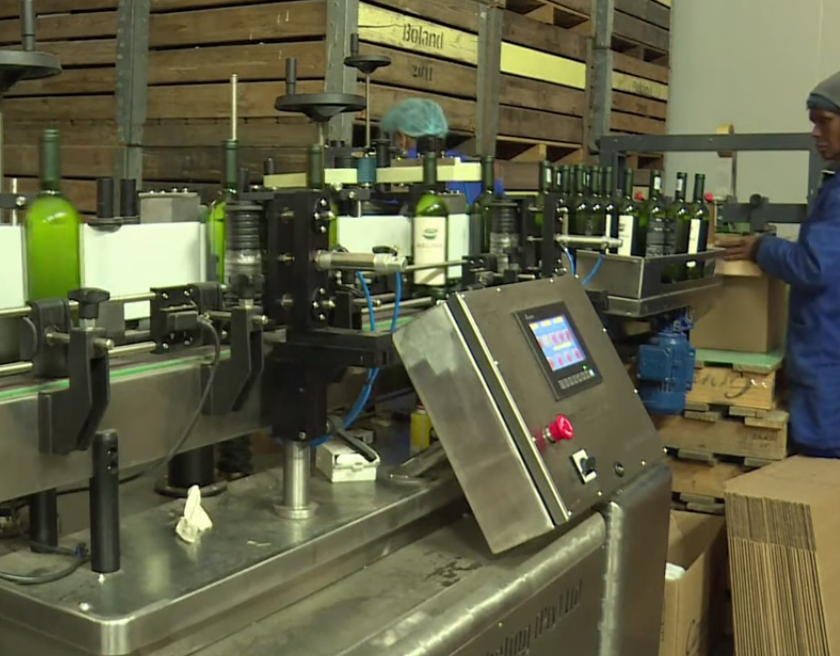 Covid 19 Sudafrica vieta produzione e vendita vino e alcolici. In piena vendemmia