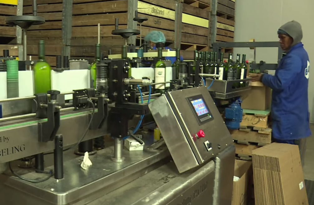 Covid 19 Sudafrica vieta produzione e vendita vino e alcolici. In piena vendemmia