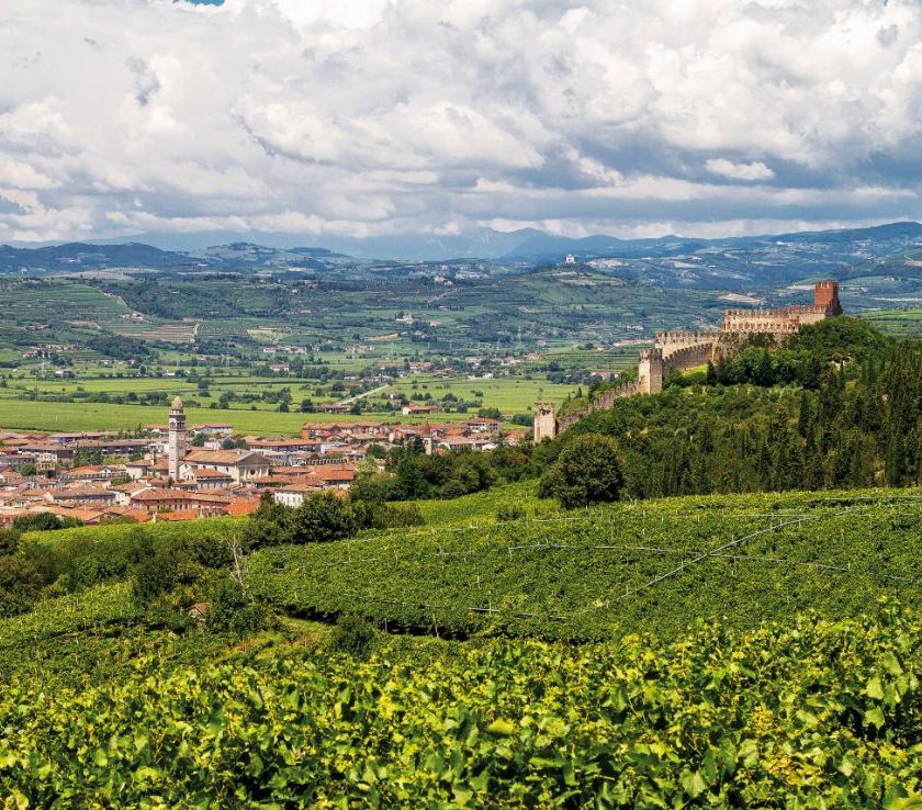 I 33 cru del Soave in etichetta dalla vendemmia 2019 già rivendicate 23 Uga unità geografiche aggiuntive