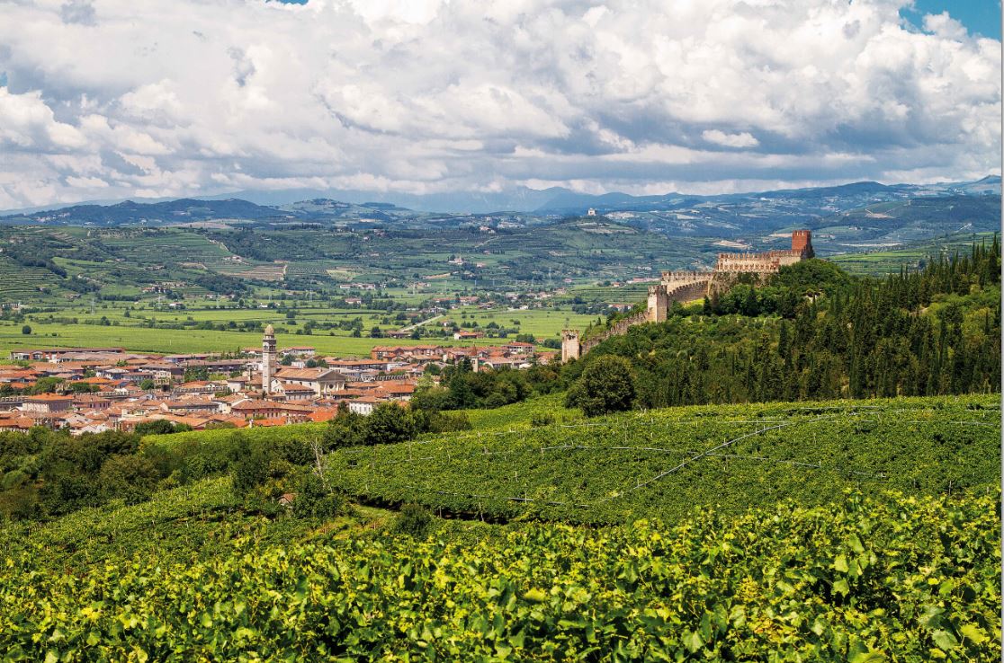 I 33 cru del Soave in etichetta dalla vendemmia 2019 già rivendicate 23 Uga unità geografiche aggiuntive