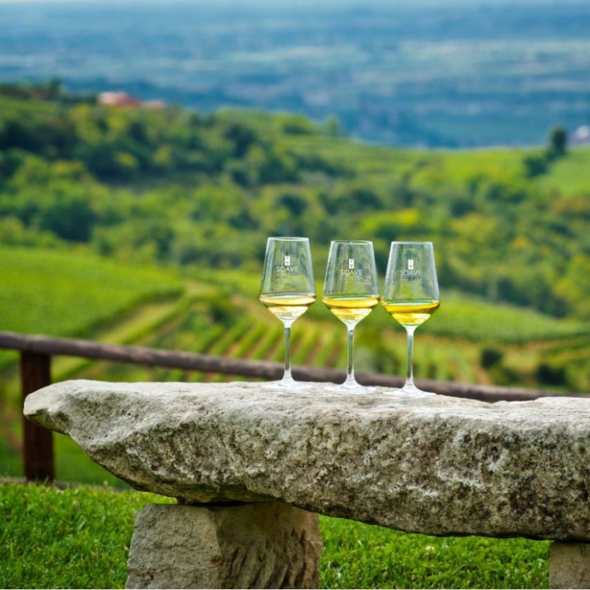 Ridurre i solfiti nel vino grazie al calcolo della shelf life progetto Simposio del Soave