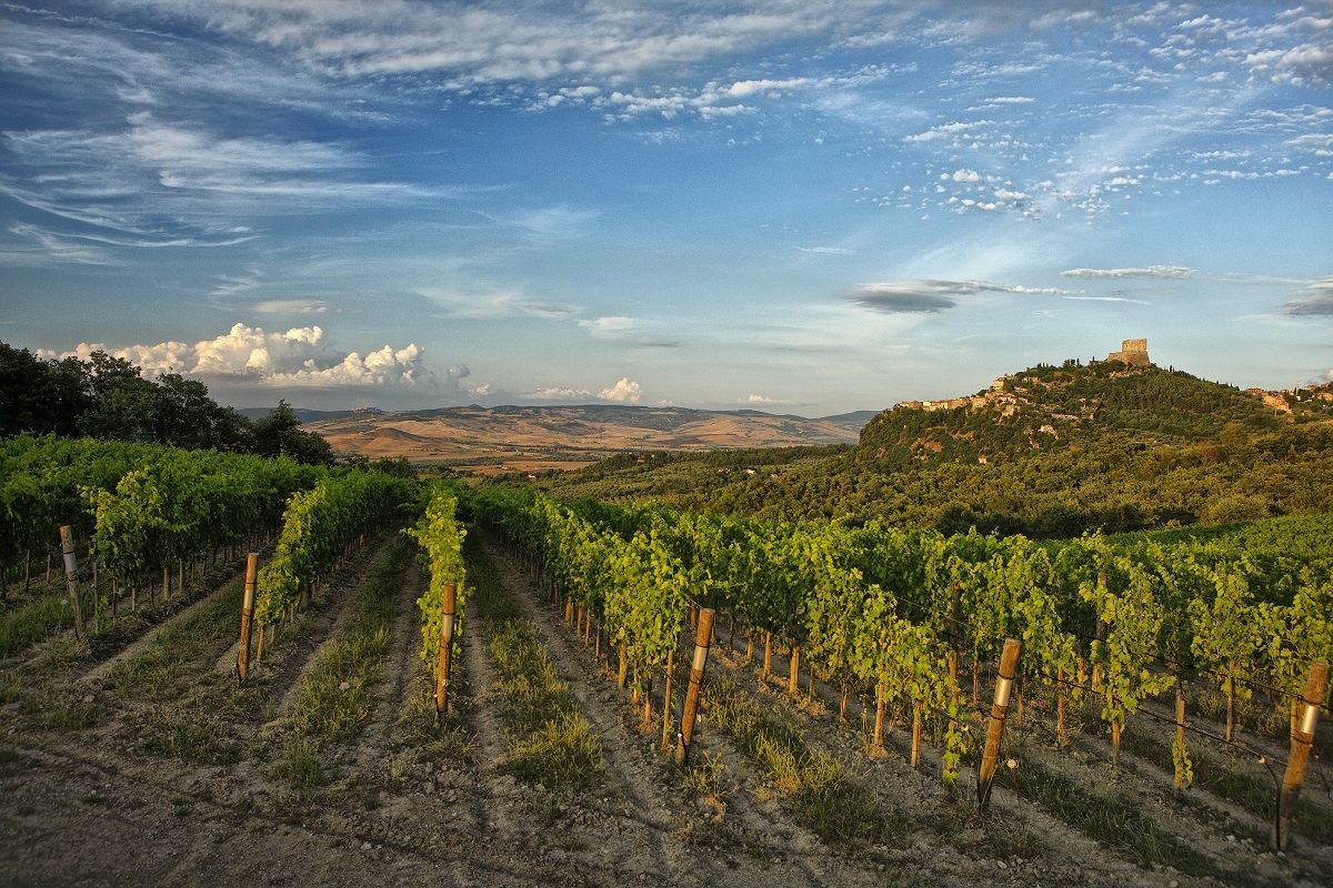 Coronavirus il lockdown del turismo del vino mette in ginocchio la Doc Orcia 1