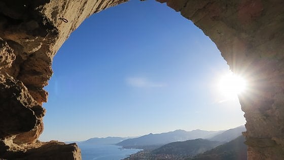 Covid 19 Vite in Riviera Caro governo ecco come salvare vino e olio della Liguria 1