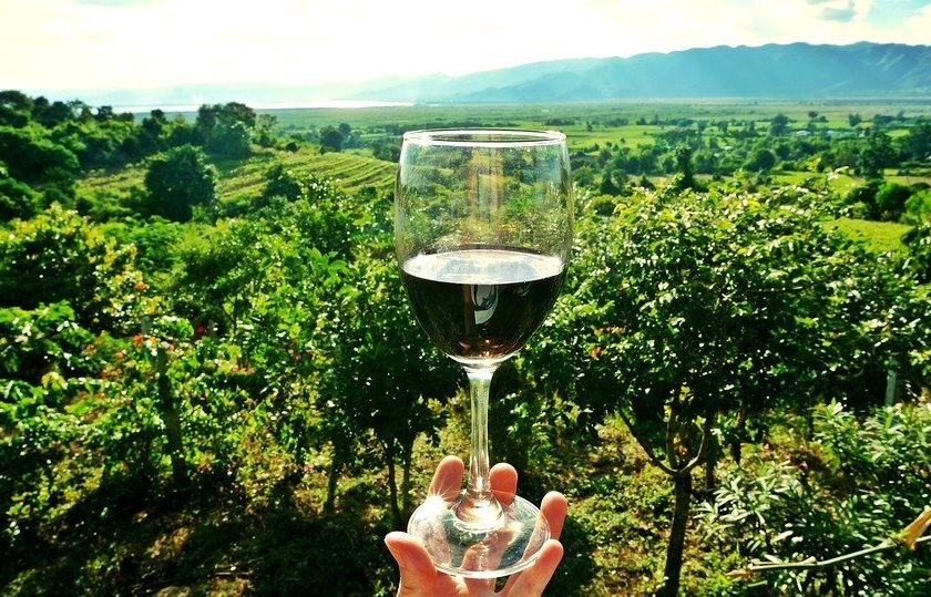 Sicilia en Primeur 2020 Planeta Siamo lisola del vino sostenibile nel Mediterraneo 3