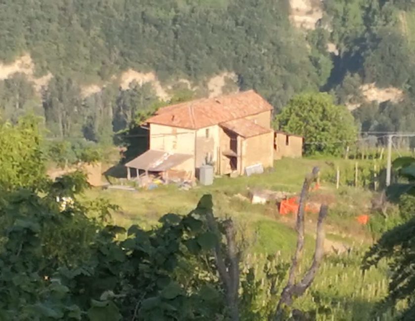 Caporalato in vigna in Piemonte in manette la banda di sfruttatori albanesi 6