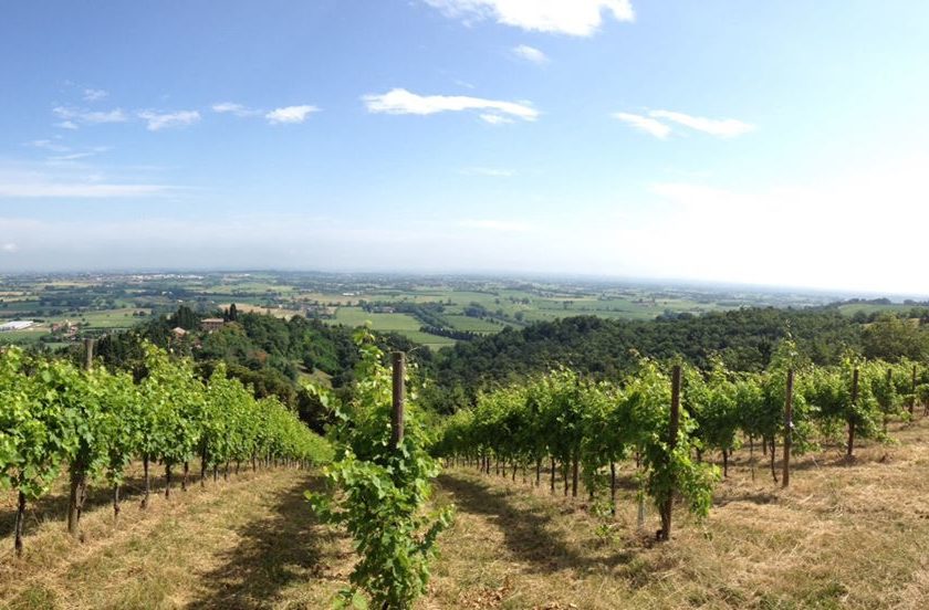 Venturini Baldini Le cantine che offrono ospitalità in Emilia Romagna vino gastronomia e relax Reggio Emilia 4