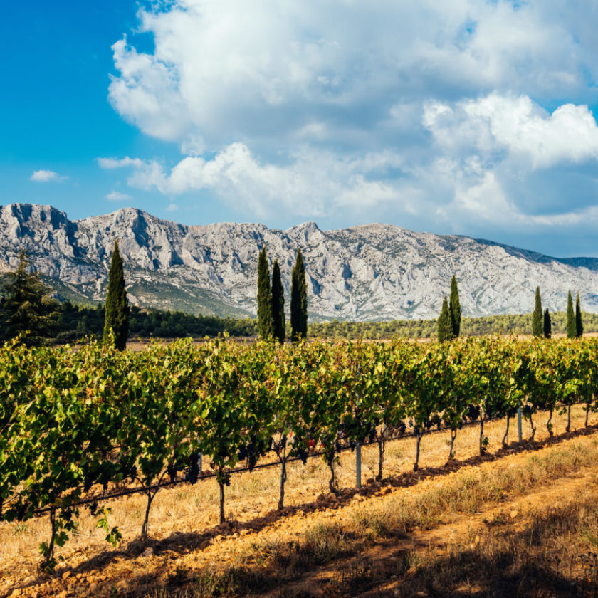Il primo distributore di vino in Francia investe sullItalia polo logistico in Piemonte 2