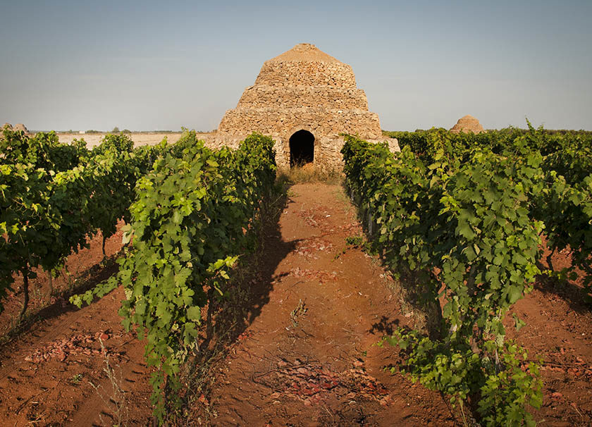 Puglia lenoturismo riparte Tra le torri del Primitivo di Manduria 1
