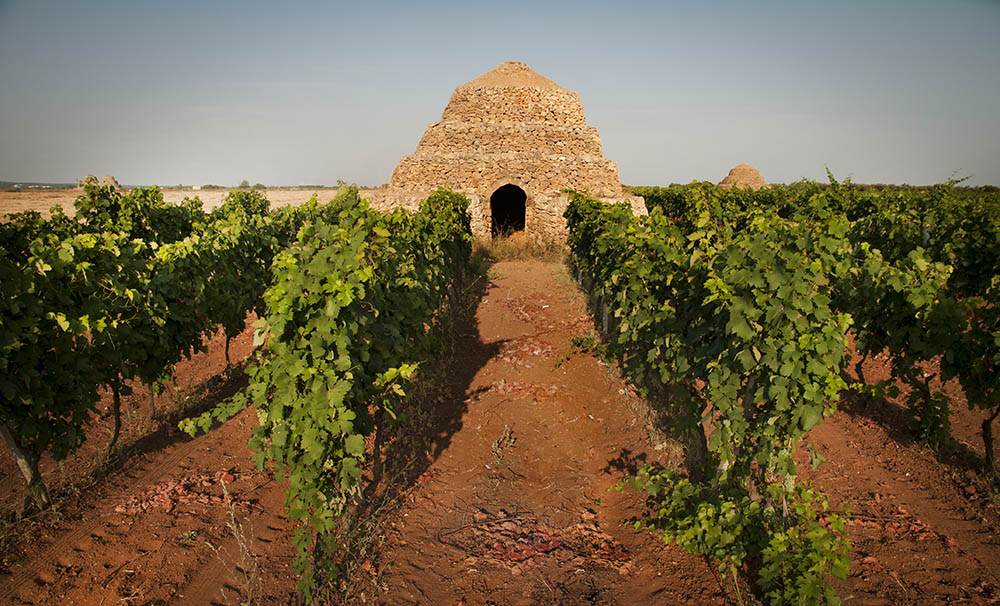 Puglia lenoturismo riparte Tra le torri del Primitivo di Manduria 1