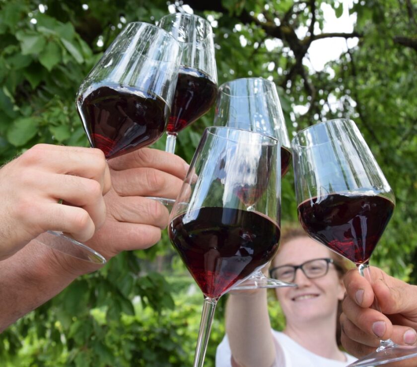 A TuttoTeroldego Strada Vino Sapori Trentino 4