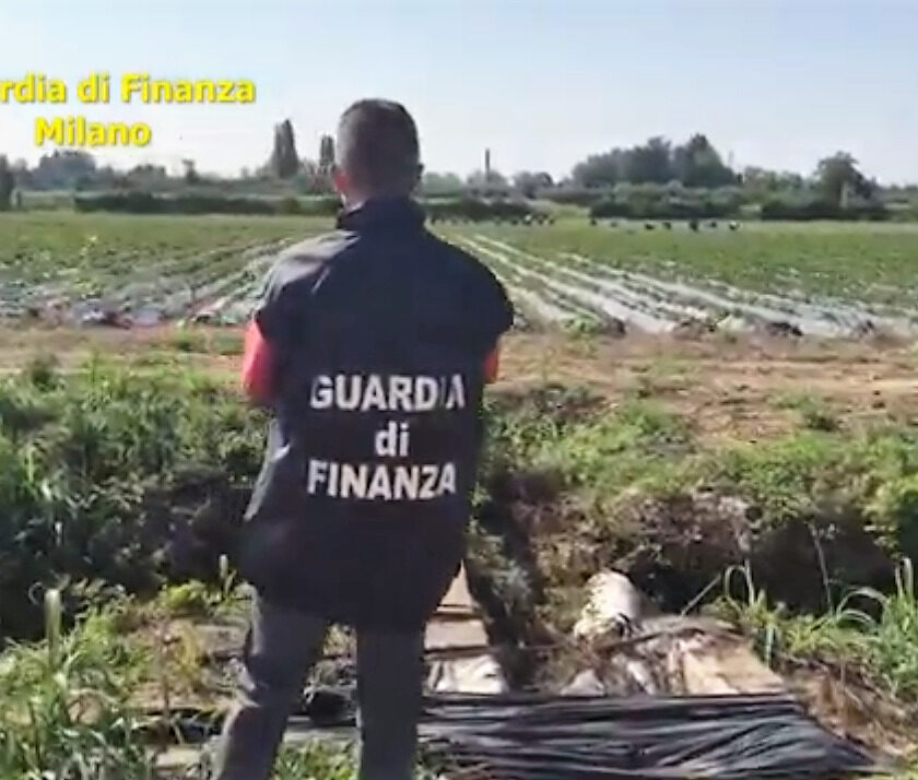 Caporalato in Martesana sequestrata azienda agricola per 75 milioni di euro