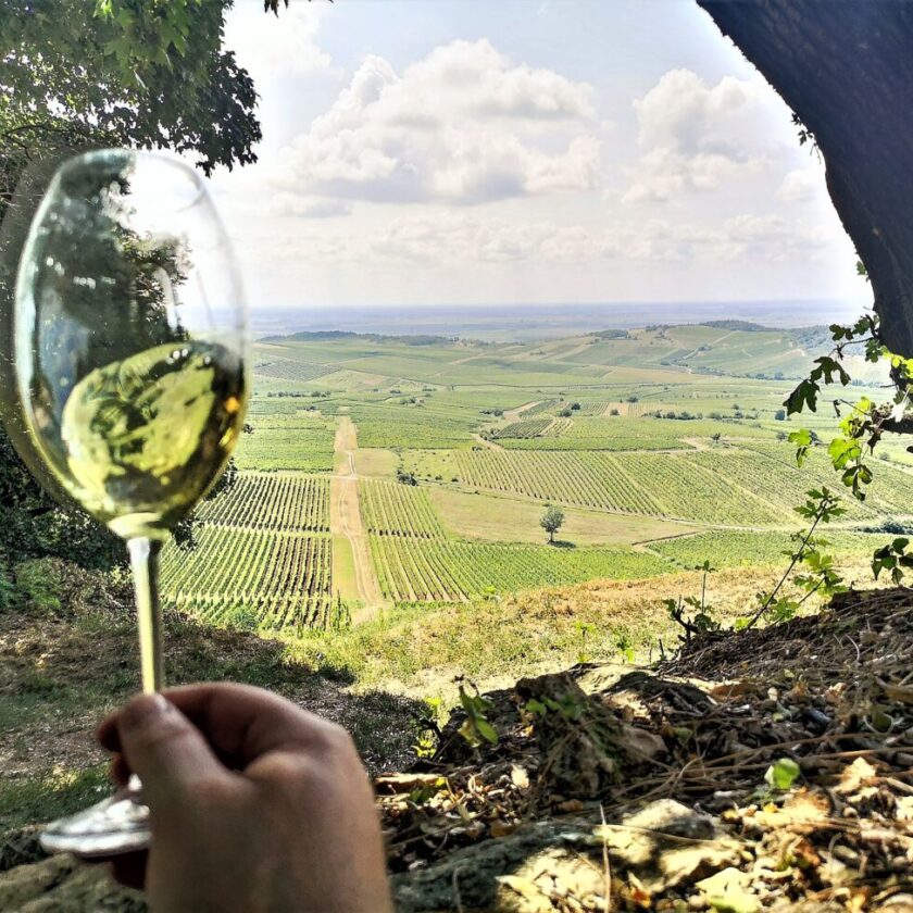 Flipper tour del vino ungherese da Tokaj a Villany in 4 giorni con tappe intermedie