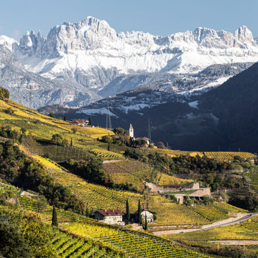 Roadshow dei Vini dellAlto Adige 2020