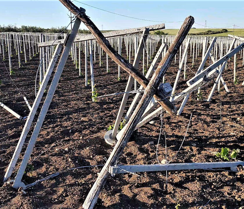 Puglia estorsioni ai vignaioli nel Foggiano in manette due pregiudicati VIDEO 2