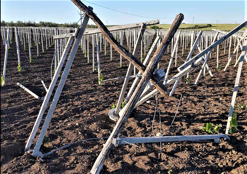 Puglia estorsioni ai vignaioli nel Foggiano in manette due pregiudicati VIDEO 2