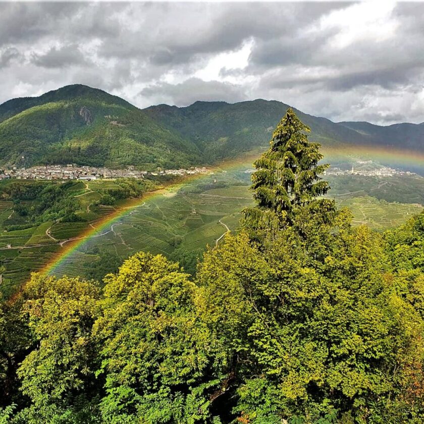 La Val di Cembra e Paesaggio storico rurale dItalia il futuro del Trentino e qui