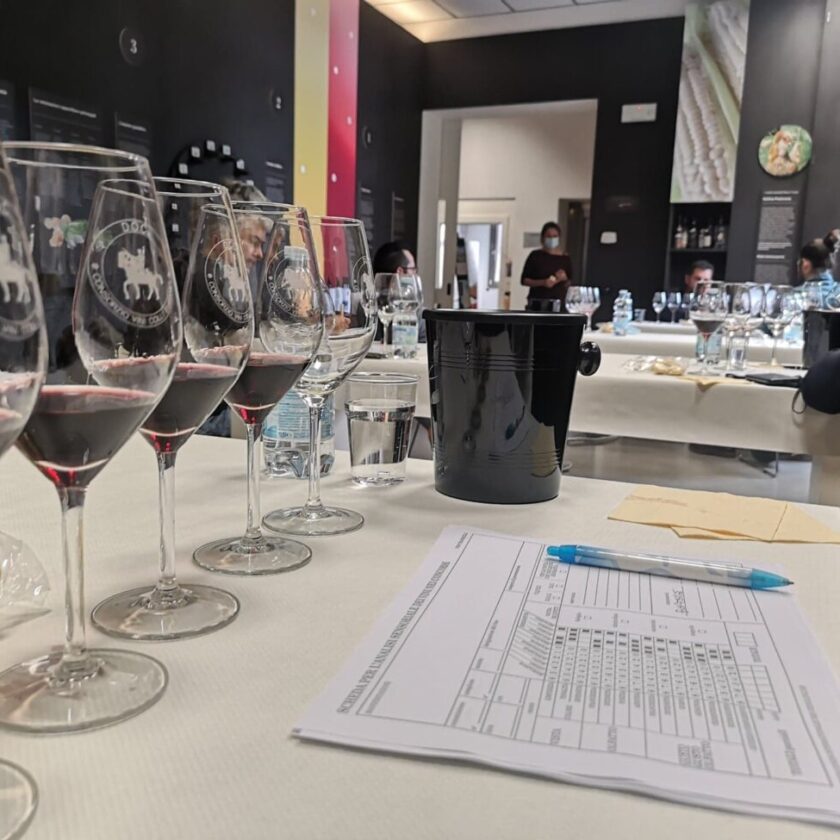 Migliori vini Colli Euganei 2020 ecco i premiati. Calaon Ora serve fare sistema 1