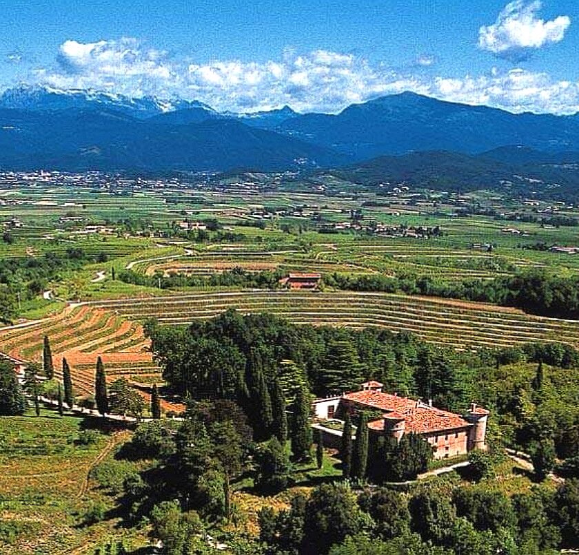 Dalla Ribolla al Pinot Nero 18 vini fermi e spumanti del Friuli diventano Dop