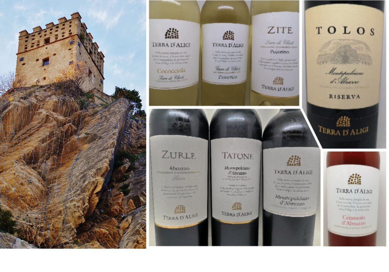 vini terra daligi dalla Cococciola al Montepulciano finestra sullAbruzzo spinelli