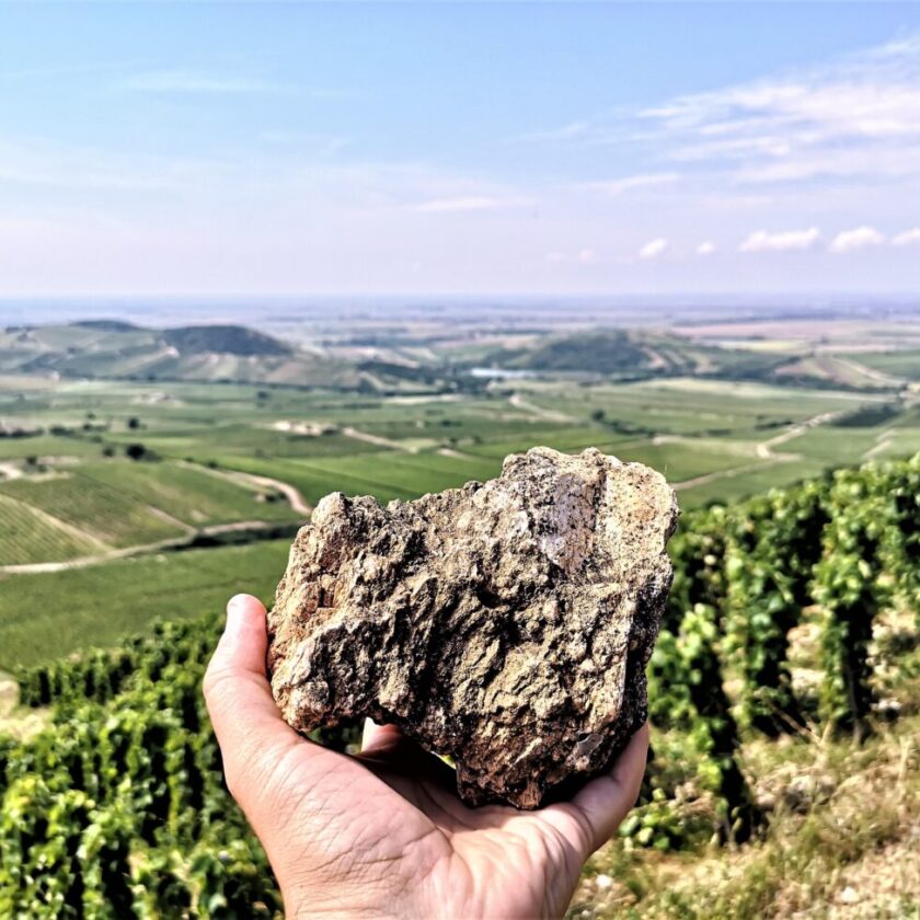 Tokaj sceglie la montagna nel nuovo Disciplinare mezzo miliardo per lo sviluppo