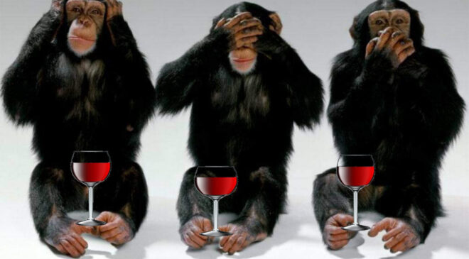 Dalle 18 il vino si compra in macelleria ma non in enoteca. E i Consorzi Muti 1