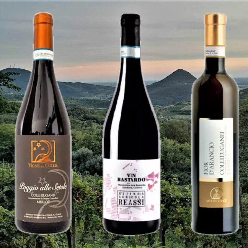 Vigne al colle Montegrande Reassi tris sui Colli Euganei e1613491016961