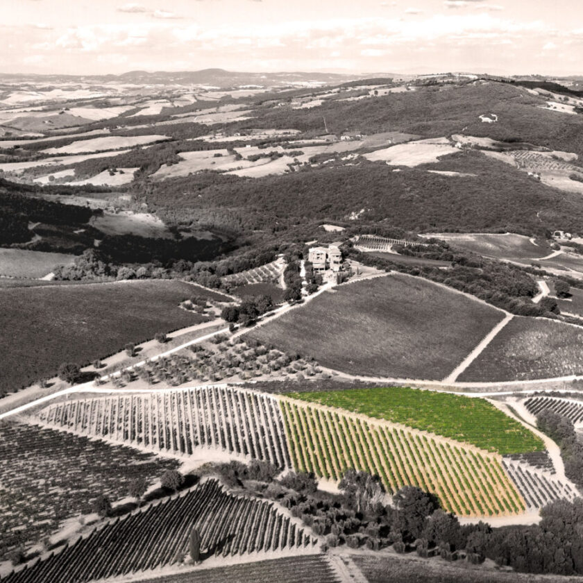 L unicita del Brunello Vigna Schiena d Asino di Mastrojanni il cru senza toponimo 1
