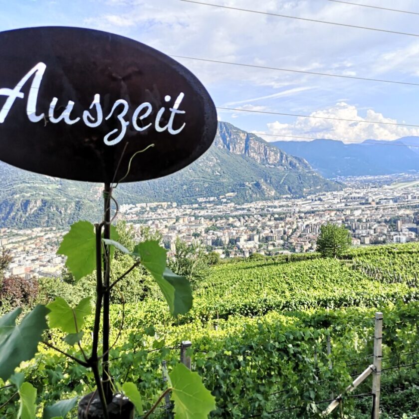 Tenuta Rottensteiner Maso Kristplonerhof boutique hotel Bolzano vigne passito Gewurztraminer Cresta 15