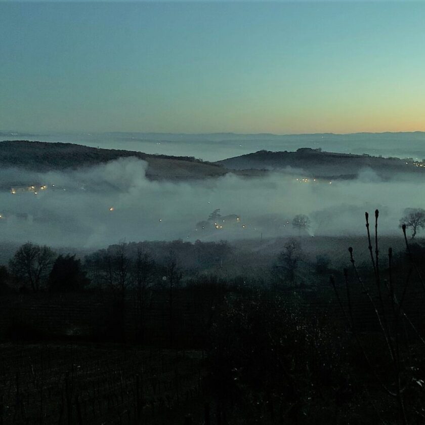 Gelate Toscana in ginocchio a Montalcino si brucia la paglia per scaldare i vigneti 2