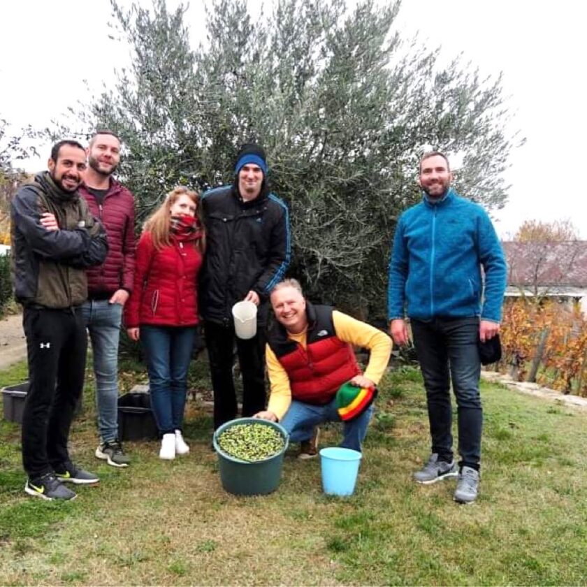 Lago Balaton come Garda Ungheria scommette sul binomio vino olio 2ha torok csaba 1
