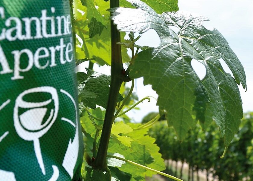 Covid 19 bufera su Cantine Aperte 2021 le Marche rinunciano produttori contrari