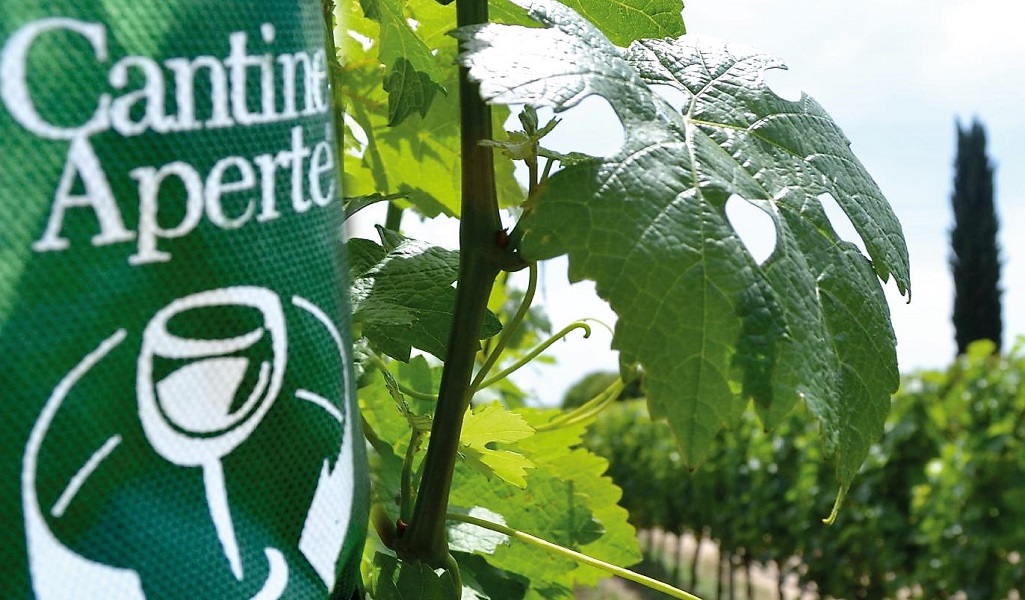 Covid-19, bufera su Cantine Aperte 2021: le Marche rinunciano, produttori contrari