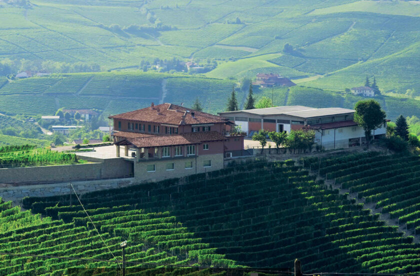 Ecolog La Corriera delle Langhe meno traffico e piu vendita diretta in cantina