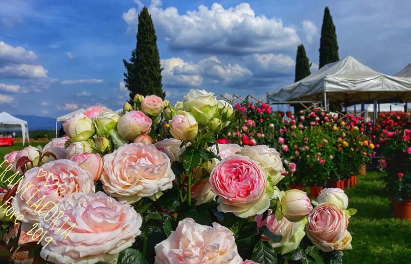 Franciacorta in Fiore 2021 prove di ripartenza in 18 comuni
