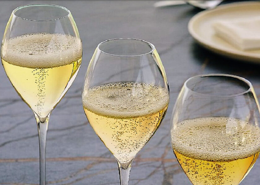 Il Cava top di gamma gioca la carta del biologico dal 2025 una goccia nelloceano