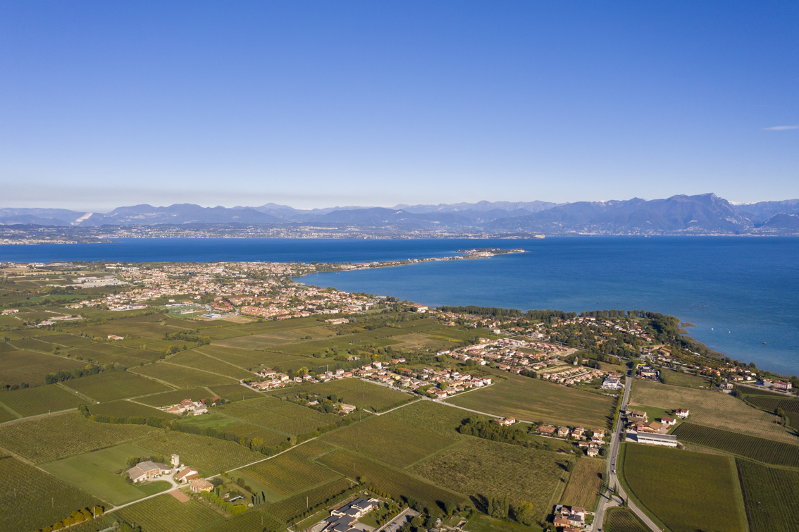 Lugana Doc, sbloccati 8.900 ettolitri di vino in stoccaggio