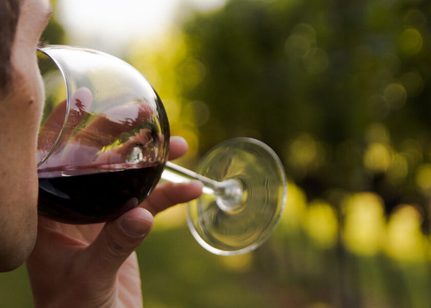 Torna Cantine aperte questanno affiancato a Vigneti aperti 2021