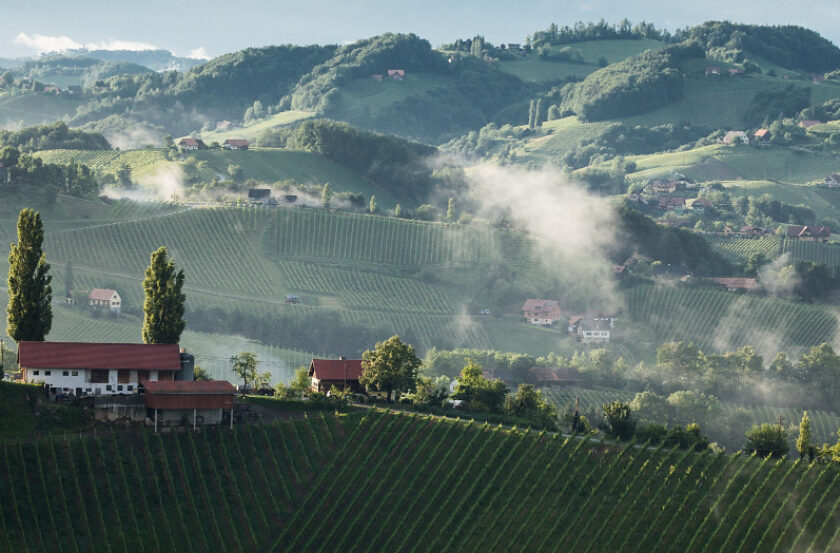 Il vino dellAustria in sei etichette Kamptal Dac Sudsteiermark Thermenregion Wagram Austrian wine Niederosterreich