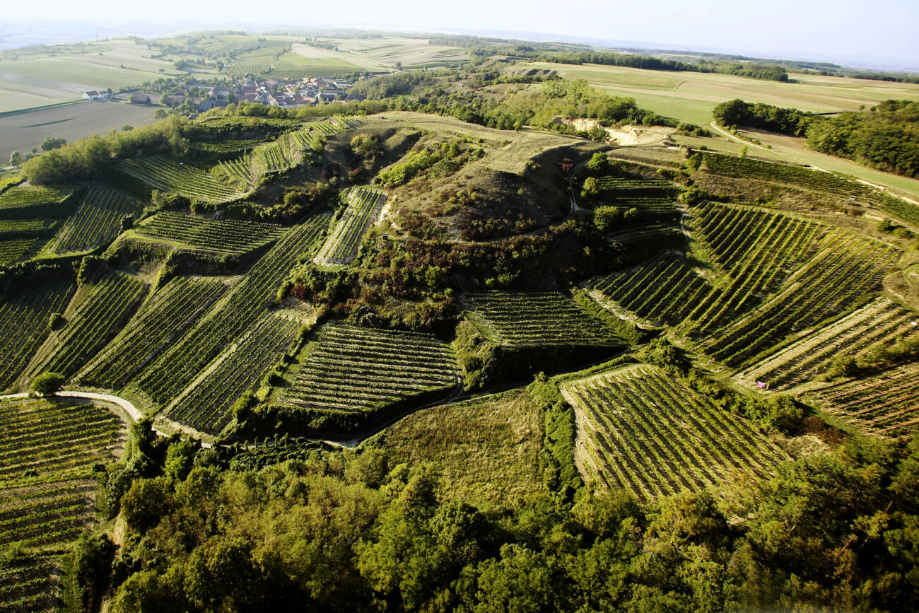 Il vino dell'Austria in sei etichette Kamptal Dac Südsteiermark Thermenregion Wagram Austrian wine Niederösterreich Il vino dell'Austria in sei etichette Kamptal Dac Südsteiermark Thermenregion Wagram Austrian wine Niederösterreich