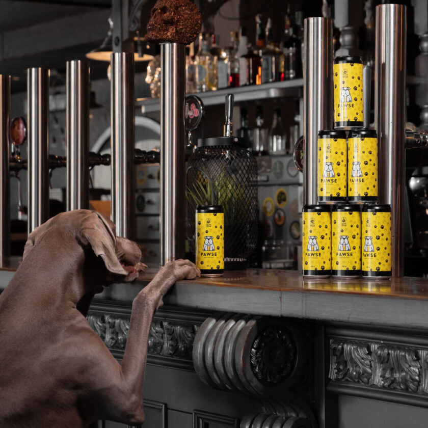 Pawse la prima birra analcolica per cani Made in Italy