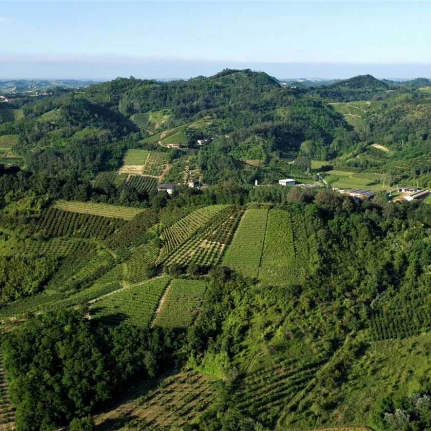 Roero vigne Unesco libere dal diserbo la proposta del Consorzio ai Comuni