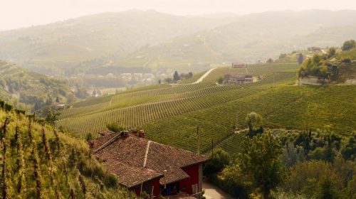 Disciplinare certificazione nazionale sostenibilità filiera vitivinicola
