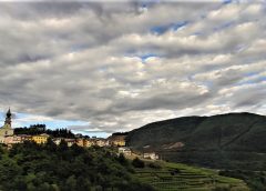 Consorzio Vini del Trentino in pole position sul Bilancio di sostenibilità