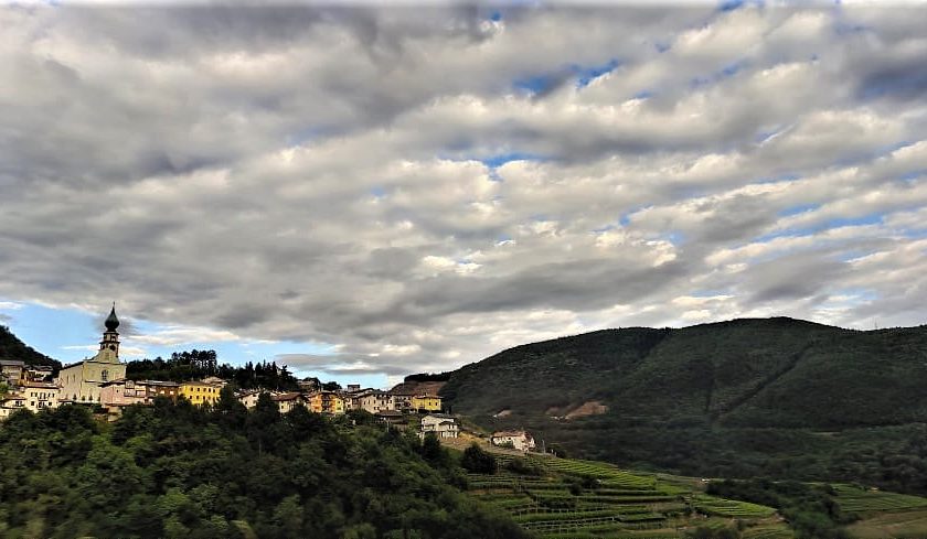 Piu terroir e montagna nei Muller Thurgau 2020 il bianco trentino alla svolta concorso internazionale comitato mostra 2