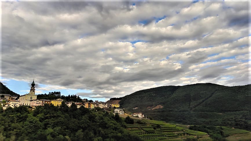 Consorzio Vini del Trentino in pole position sul Bilancio di sostenibilità